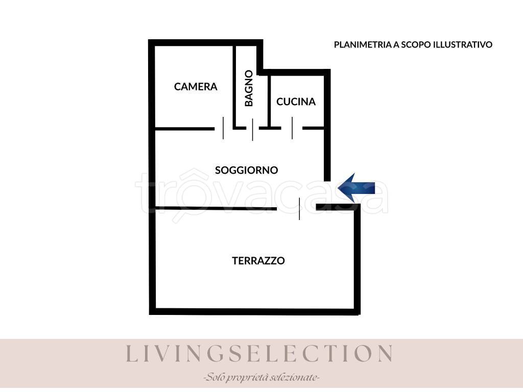 immagine annuncio 11 di 13