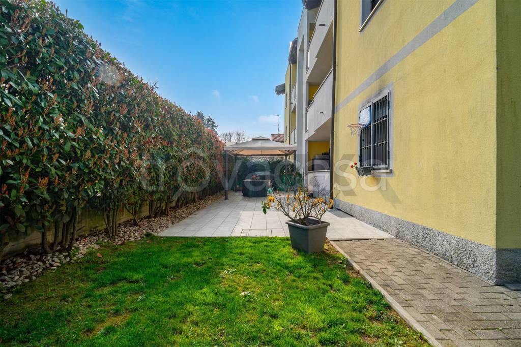 immagine annuncio 9 di 15