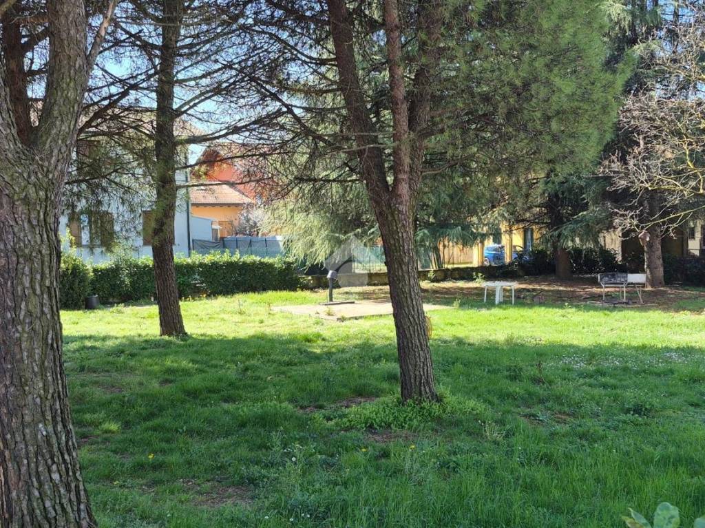 immagine annuncio 4 di 9