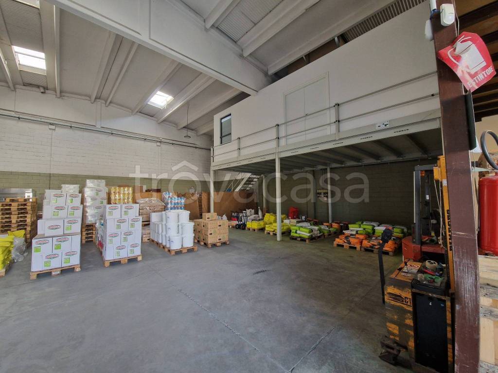 immagine annuncio 2 di 15