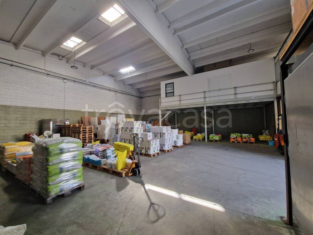 immagine annuncio 4 di 15