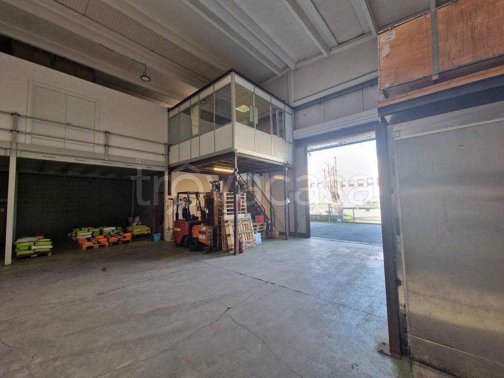 immagine annuncio 10 di 15