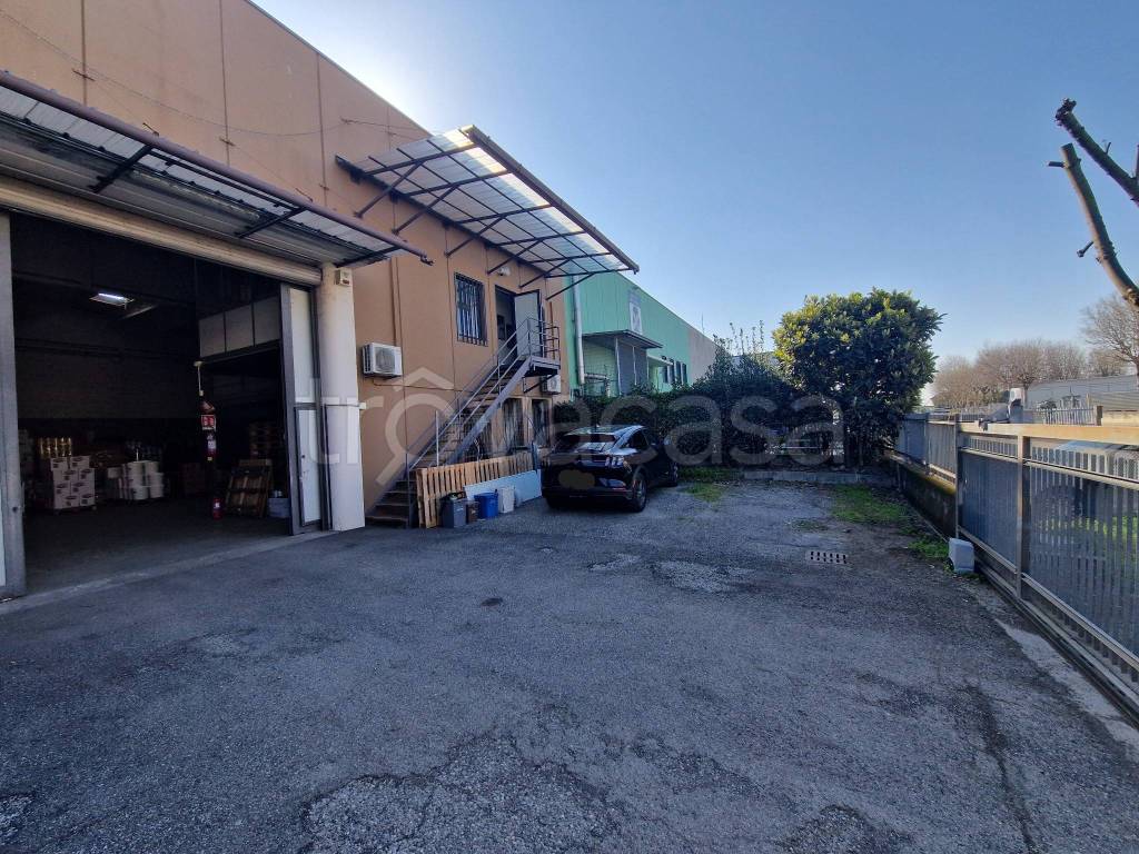 immagine annuncio 11 di 15