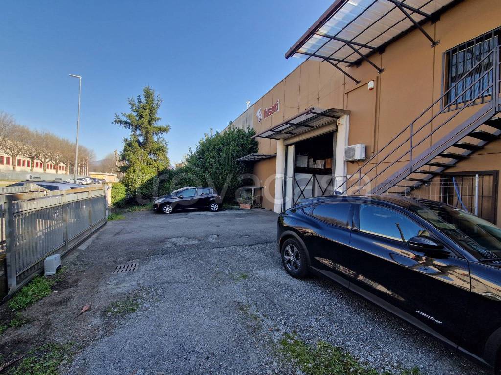 immagine annuncio 12 di 15