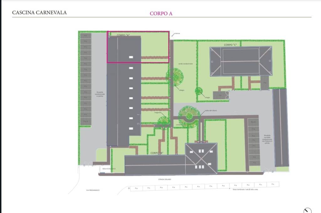 immagine annuncio 1 di 4