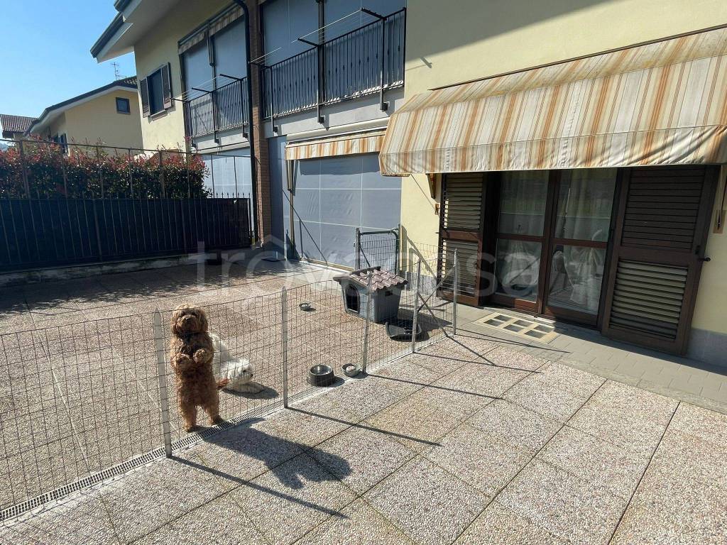 immagine annuncio 9 di 15