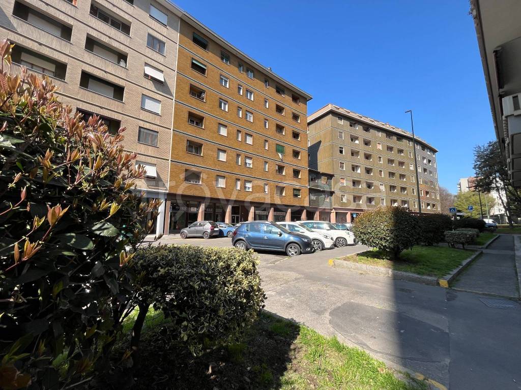 immagine annuncio 5 di 15