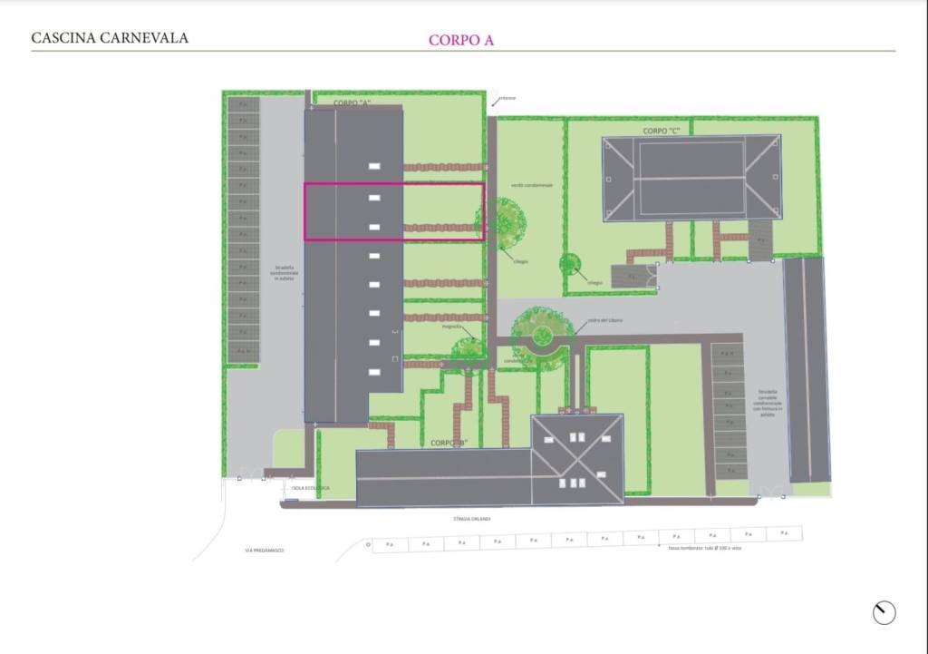 immagine annuncio 1 di 4