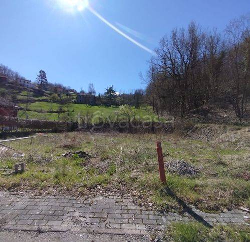 immagine annuncio 3 di 7