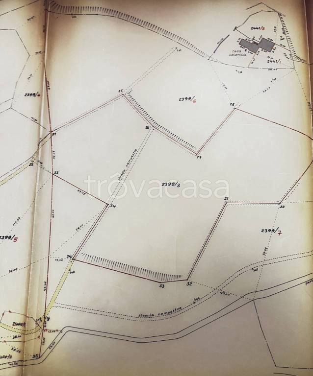 immagine annuncio 3 di 4