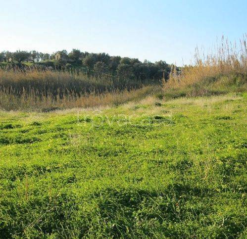 immagine annuncio 2 di 8