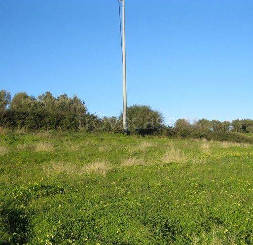 immagine annuncio 3 di 8