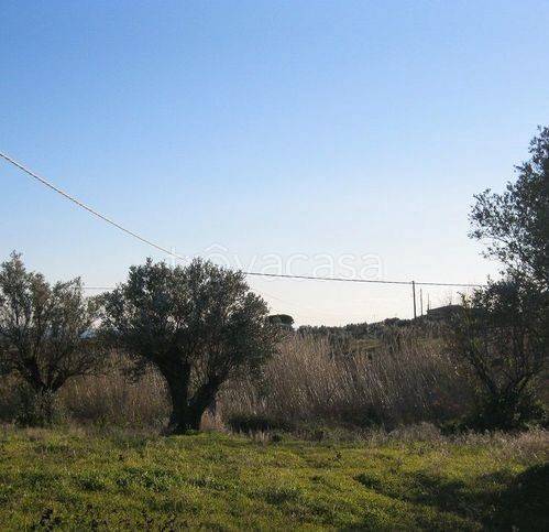 immagine annuncio 4 di 8