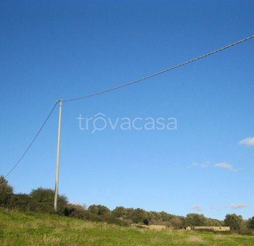 immagine annuncio 6 di 8