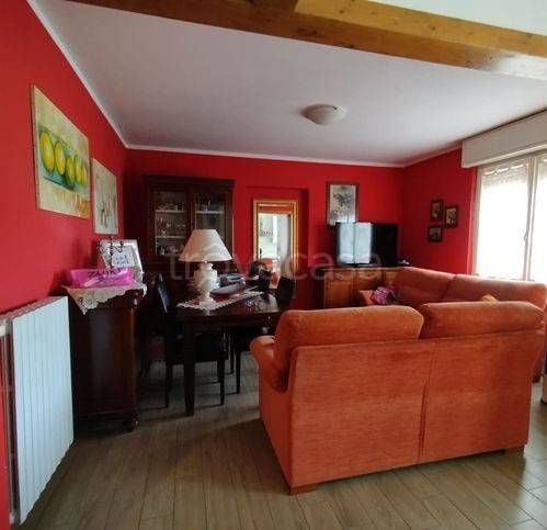 immagine annuncio 3 di 14