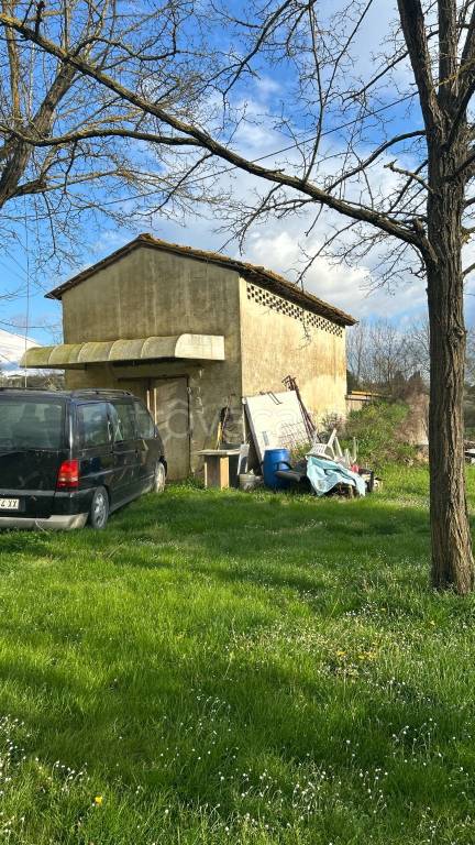 immagine annuncio 4 di 8