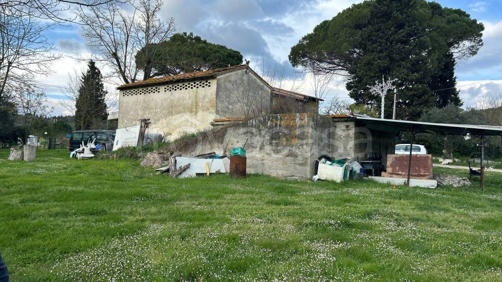 immagine annuncio 6 di 8