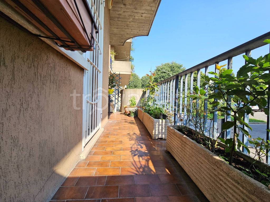 immagine annuncio 4 di 15