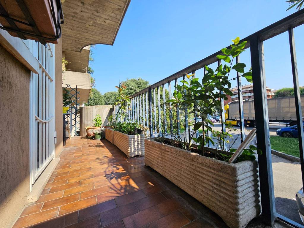 immagine annuncio 5 di 15