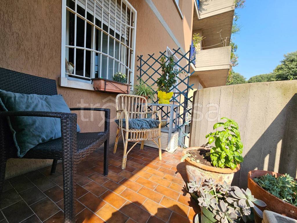 immagine annuncio 6 di 15