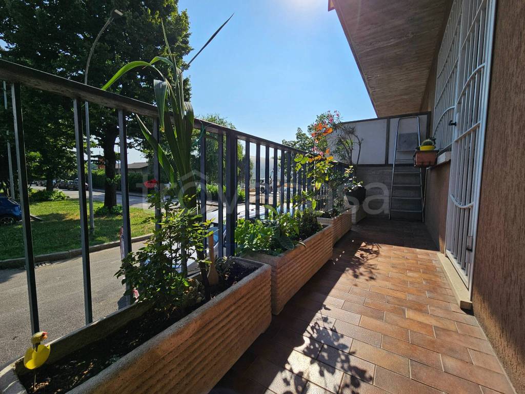 immagine annuncio 7 di 15