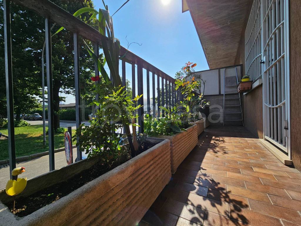 immagine annuncio 9 di 15