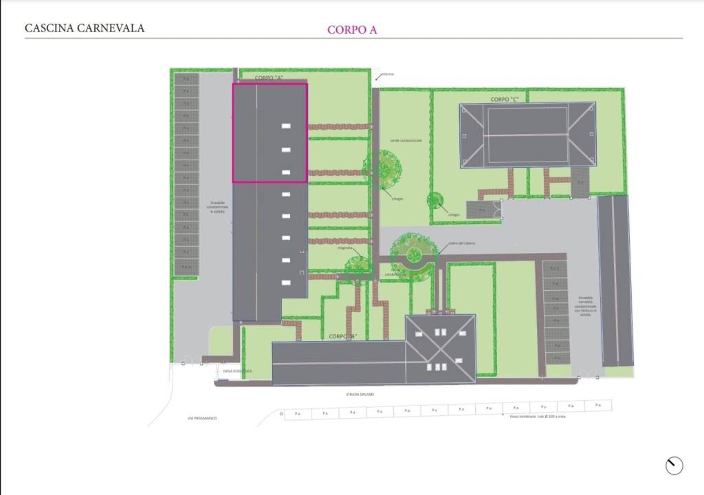 immagine annuncio 1 di 4