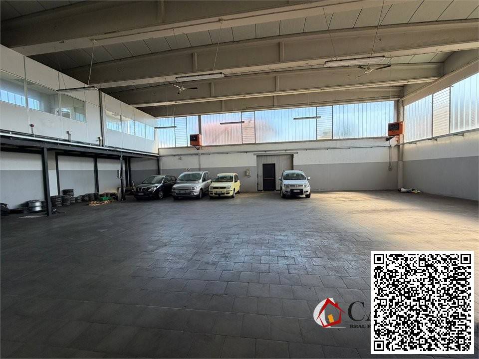 immagine annuncio 5 di 15