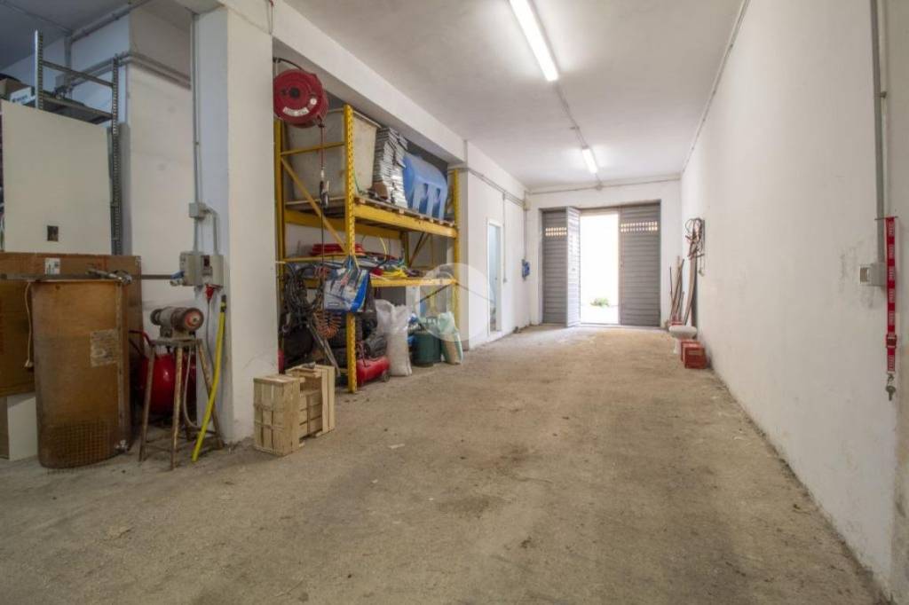 immagine annuncio 5 di 15