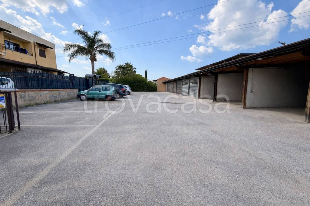 immagine annuncio 11 di 14