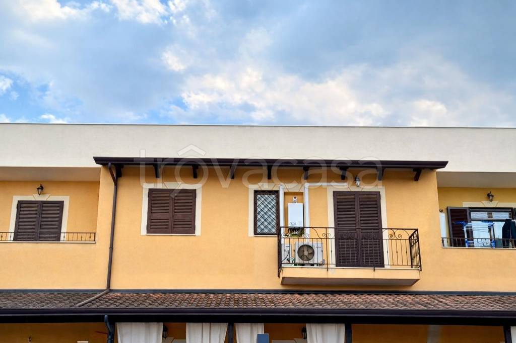 immagine annuncio 12 di 14