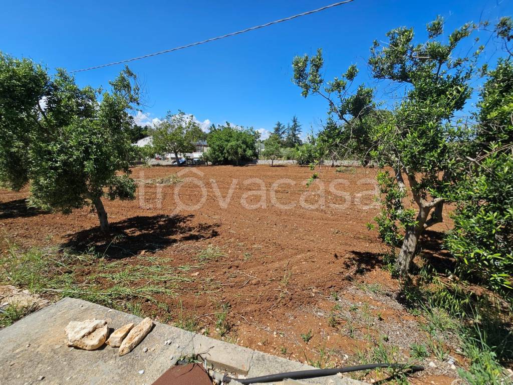 immagine annuncio 6 di 9