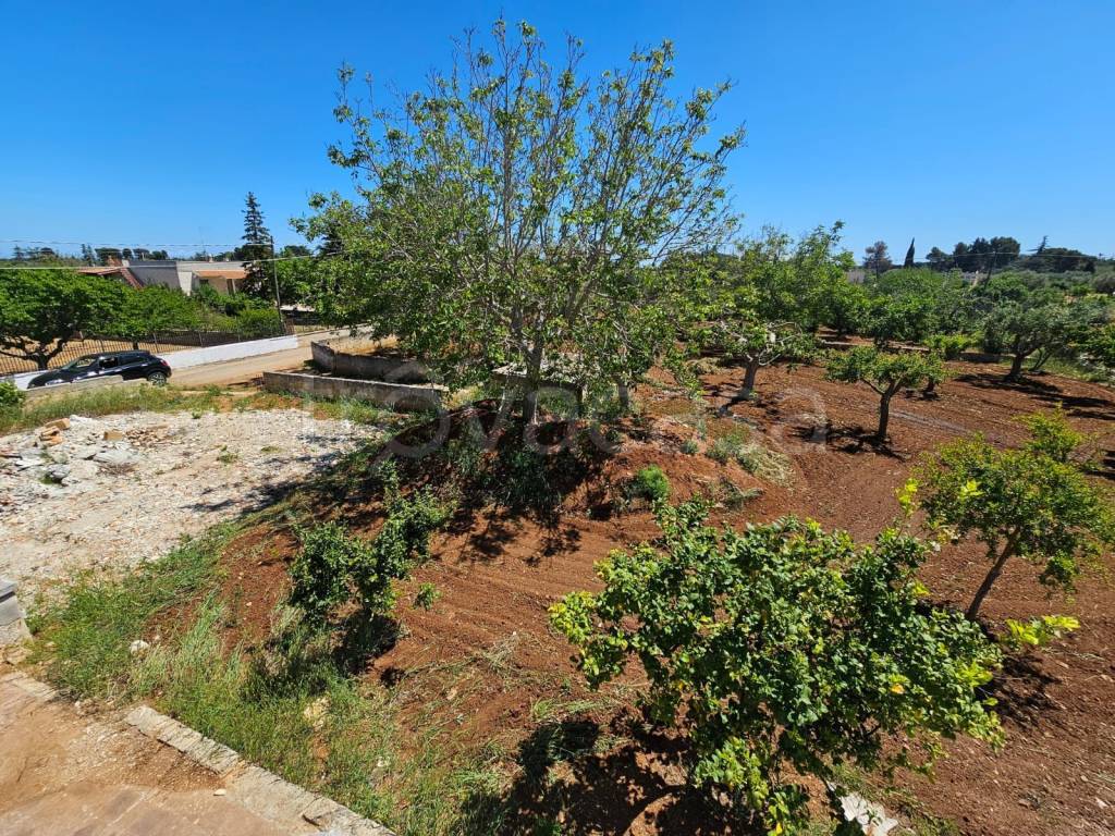 immagine annuncio 7 di 9