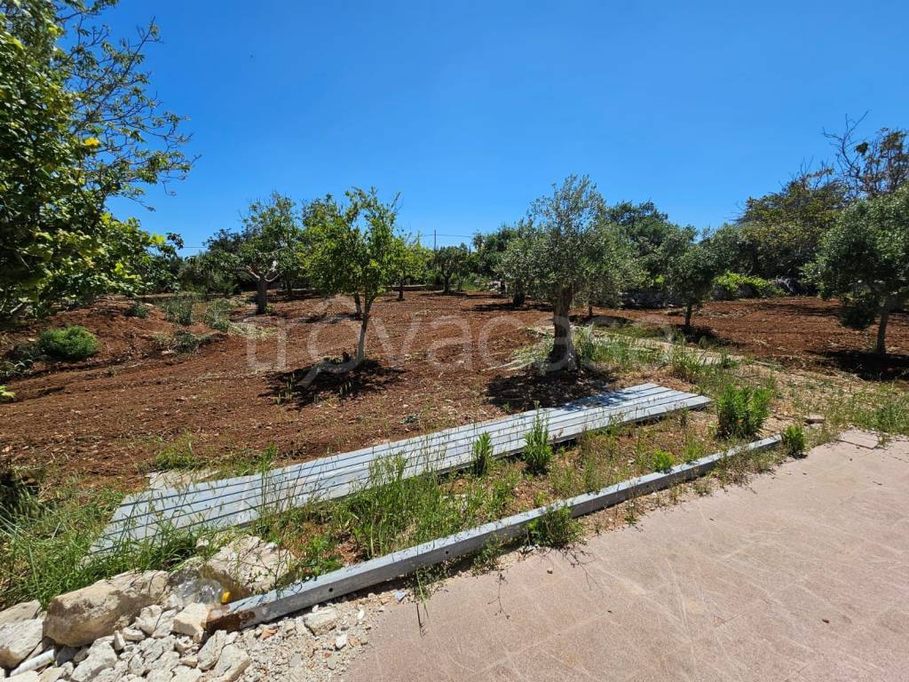 immagine annuncio 8 di 9