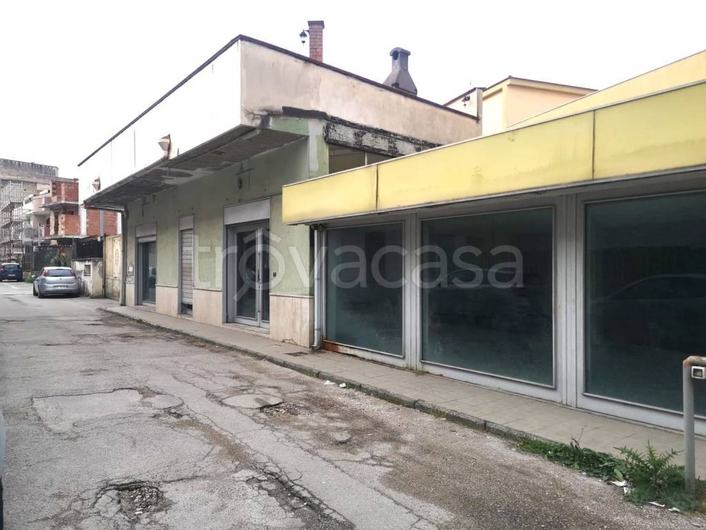 immagine annuncio 4 di 6