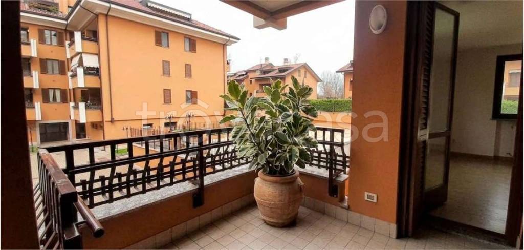 immagine annuncio 4 di 15