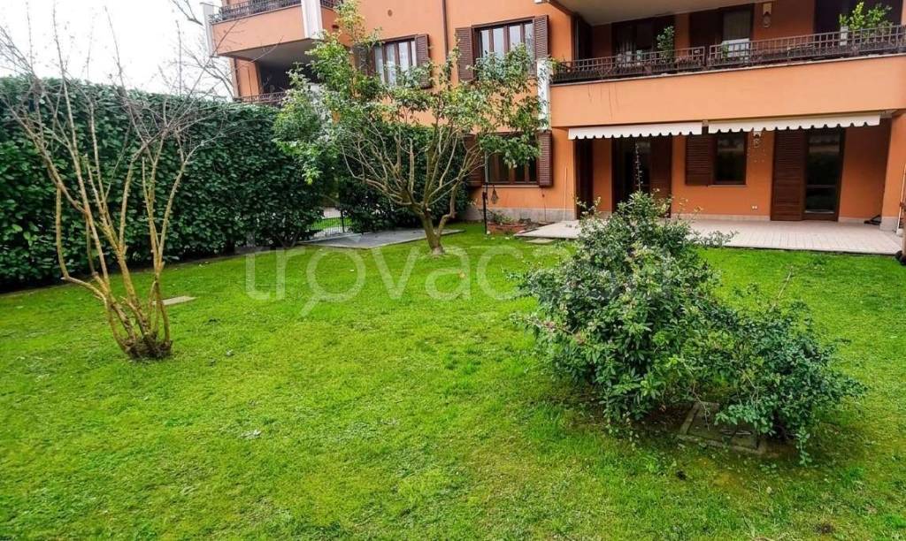 immagine annuncio 5 di 15