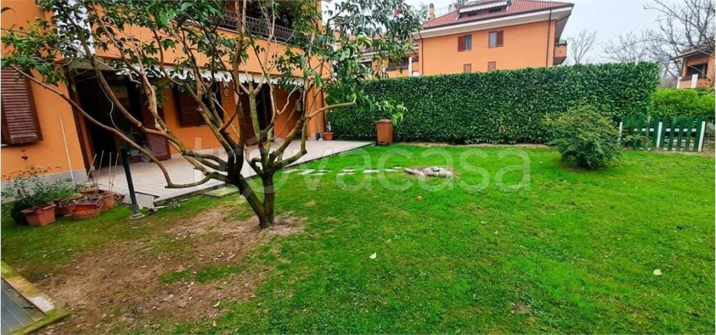 immagine annuncio 6 di 15