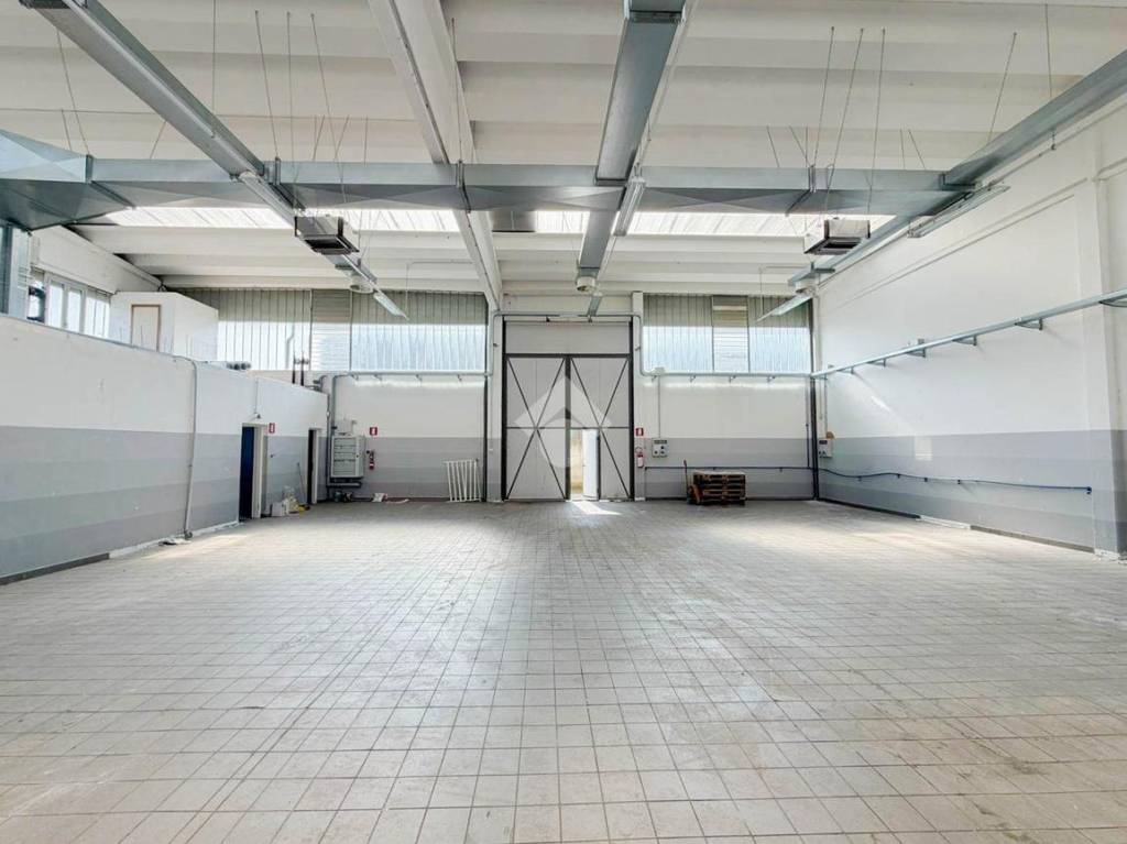 immagine annuncio 4 di 15