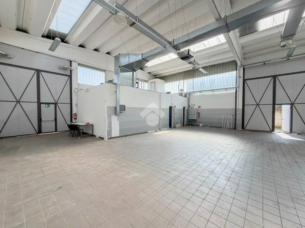 immagine annuncio 9 di 15