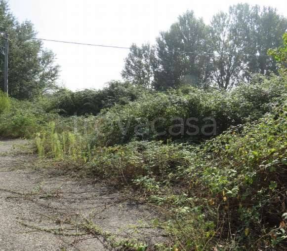 immagine annuncio 4 di 12