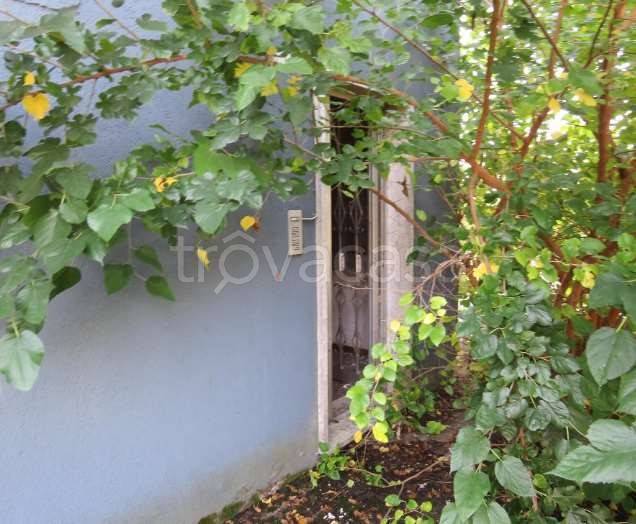 immagine annuncio 5 di 12