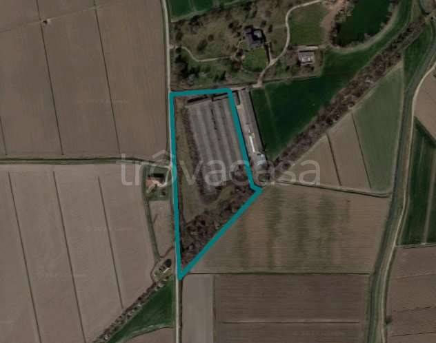 immagine annuncio 6 di 12