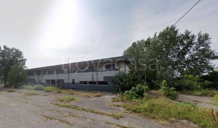 immagine annuncio 7 di 12