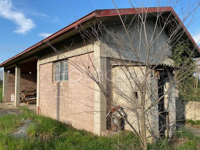 immagine annuncio 2 di 13