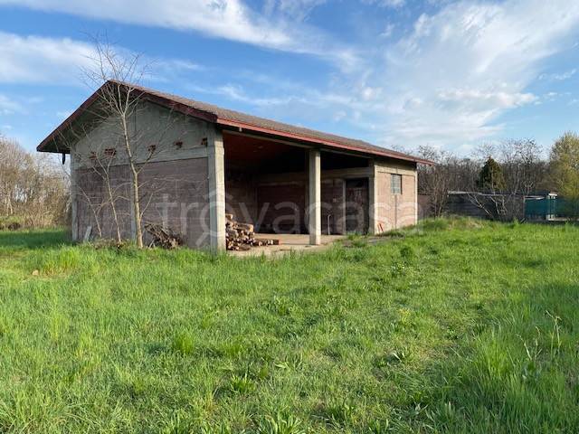 immagine annuncio 4 di 13