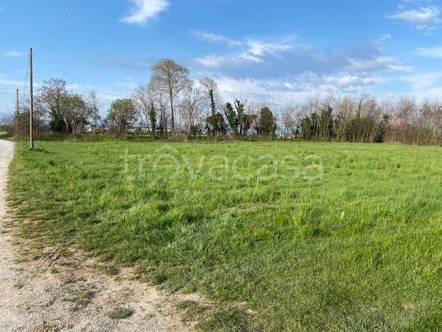 immagine annuncio 10 di 13