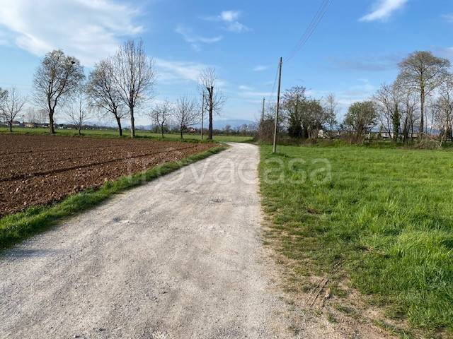 immagine annuncio 11 di 13