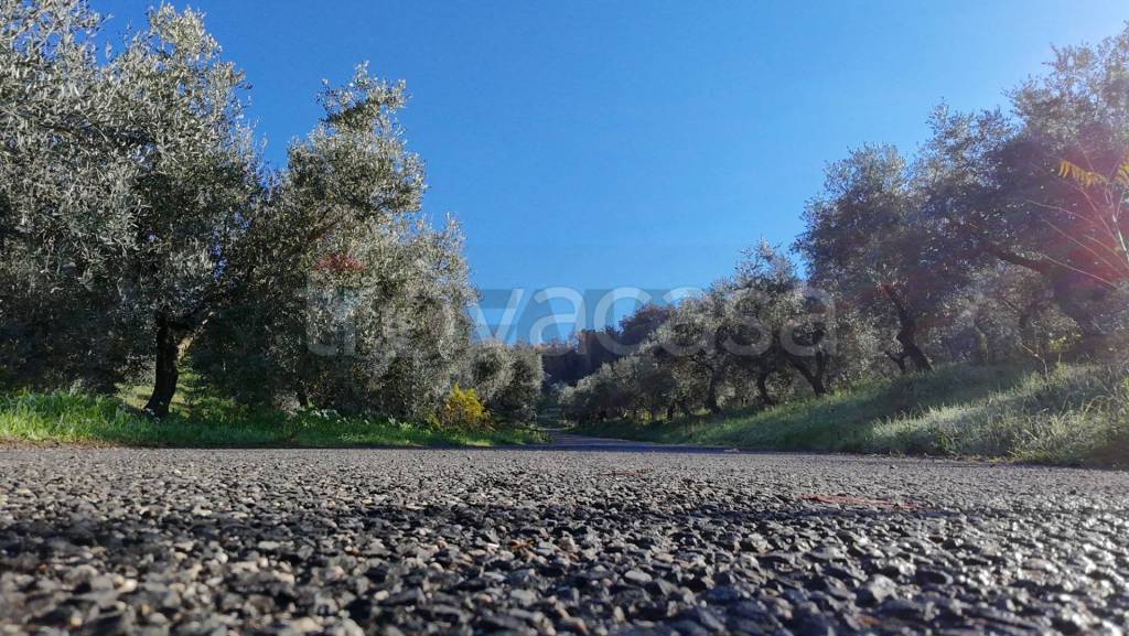 immagine annuncio 5 di 11