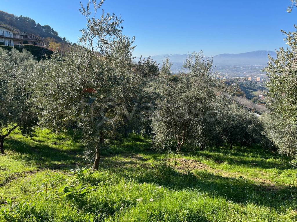 immagine annuncio 6 di 11